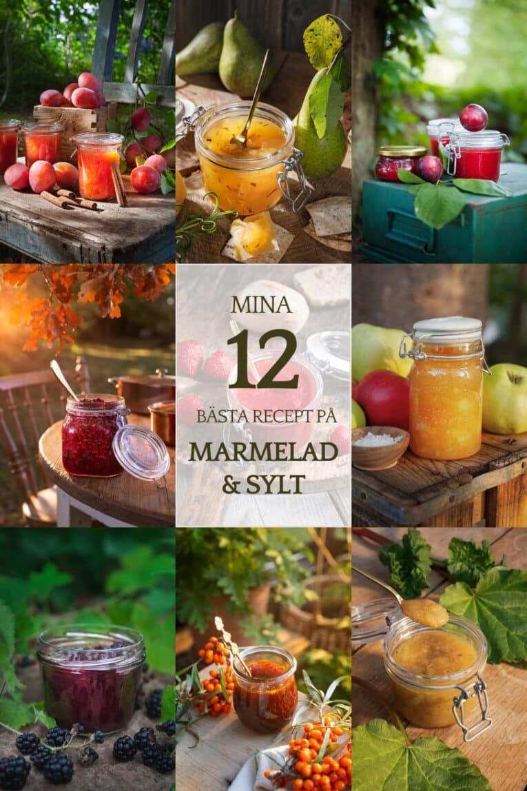 collage med olika sorters marmelad och sylt